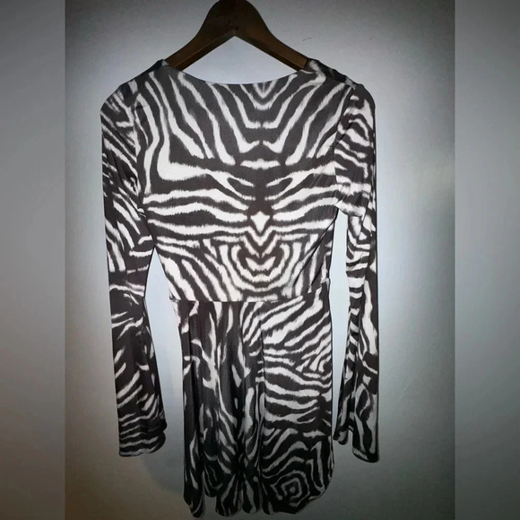 Zara Zebra Print long sleeve V-Neck Mini Dress size small NWT - Picture 3 of 7